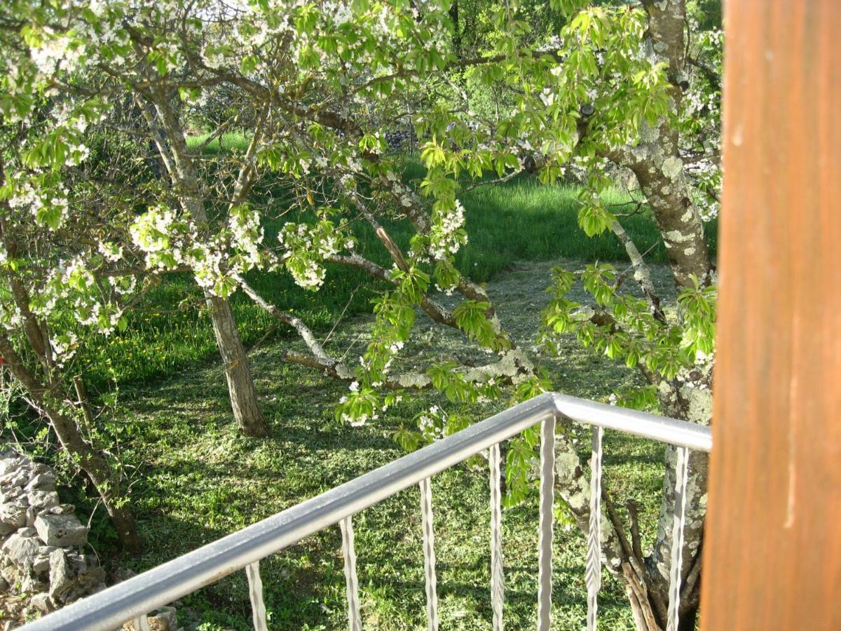 Antonia & Arian Apartment Roc Bagian luar foto
